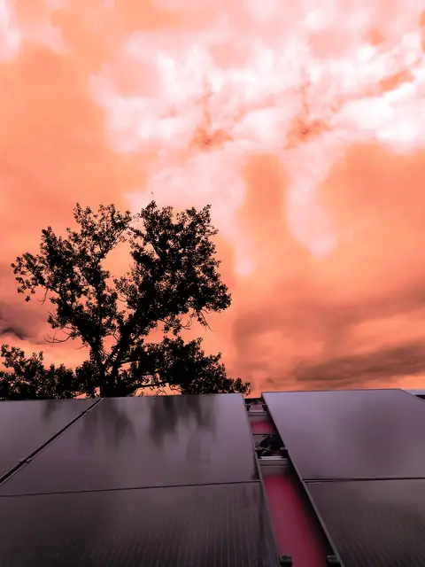 Moduli fotovoltaici sotto un cielo rosso al tramonto, con un albero in controluce